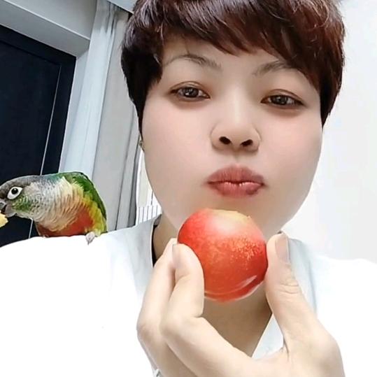 清华小样