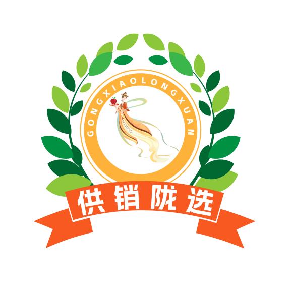 陇村供销社