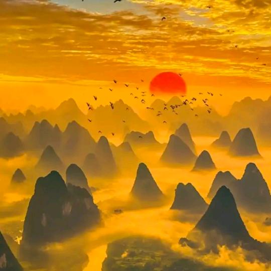 你的浅浅