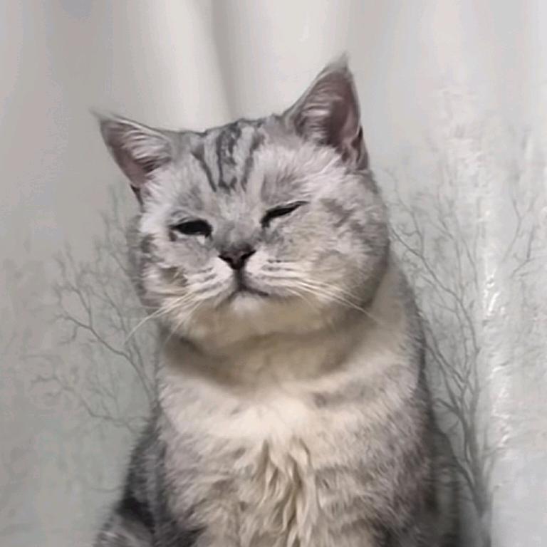 不厌