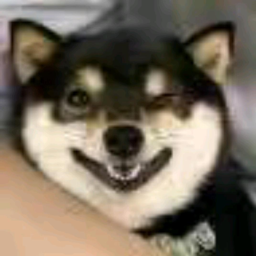 九日