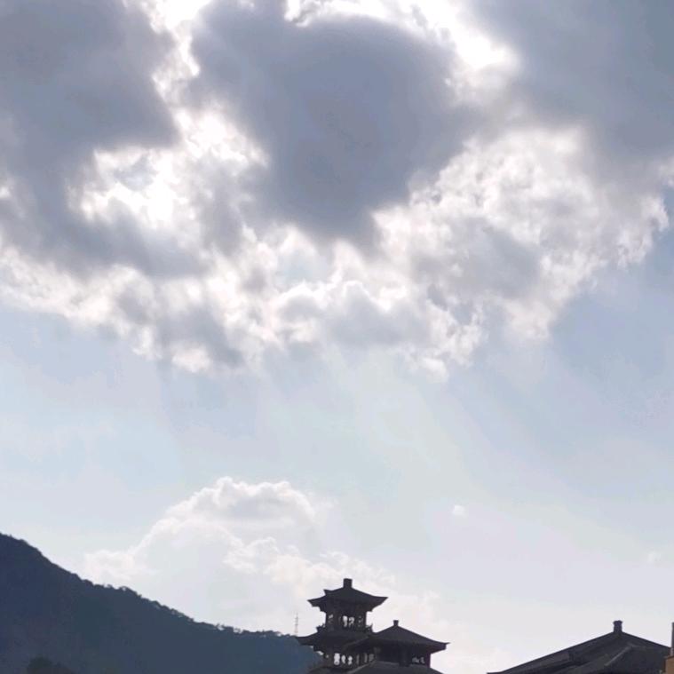 豪磬商行精选