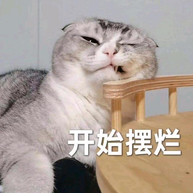 摆烂中懒头像