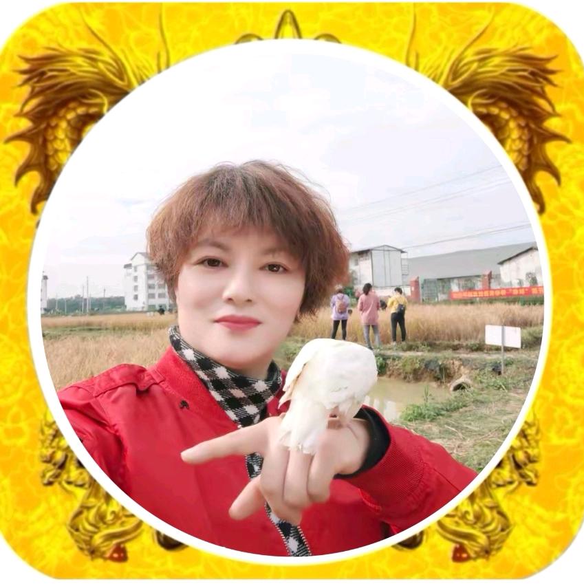 玲珑姐（上午10：20）