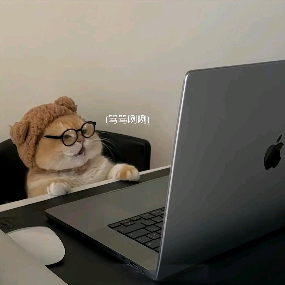 Cat Resource 猫力资源部