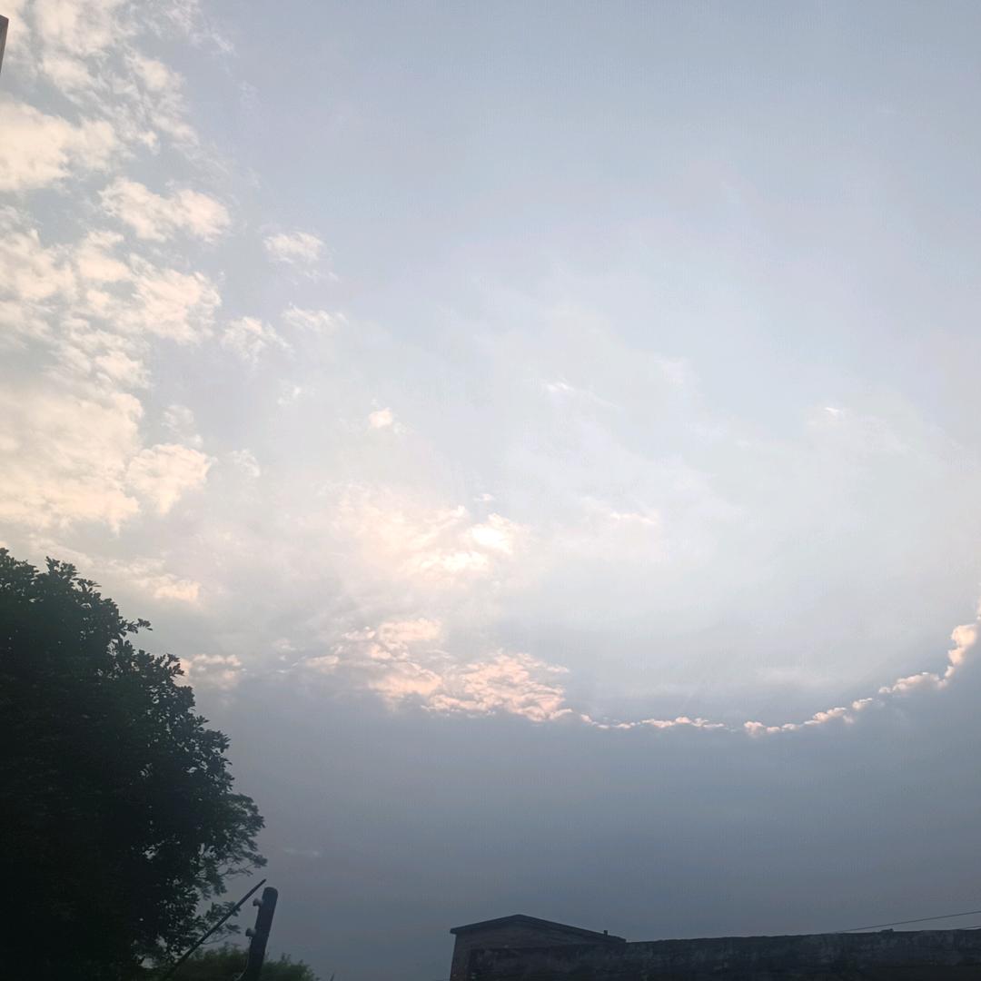 猫晴天
