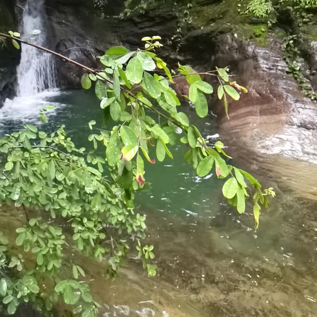 哥也不是当年的哥了