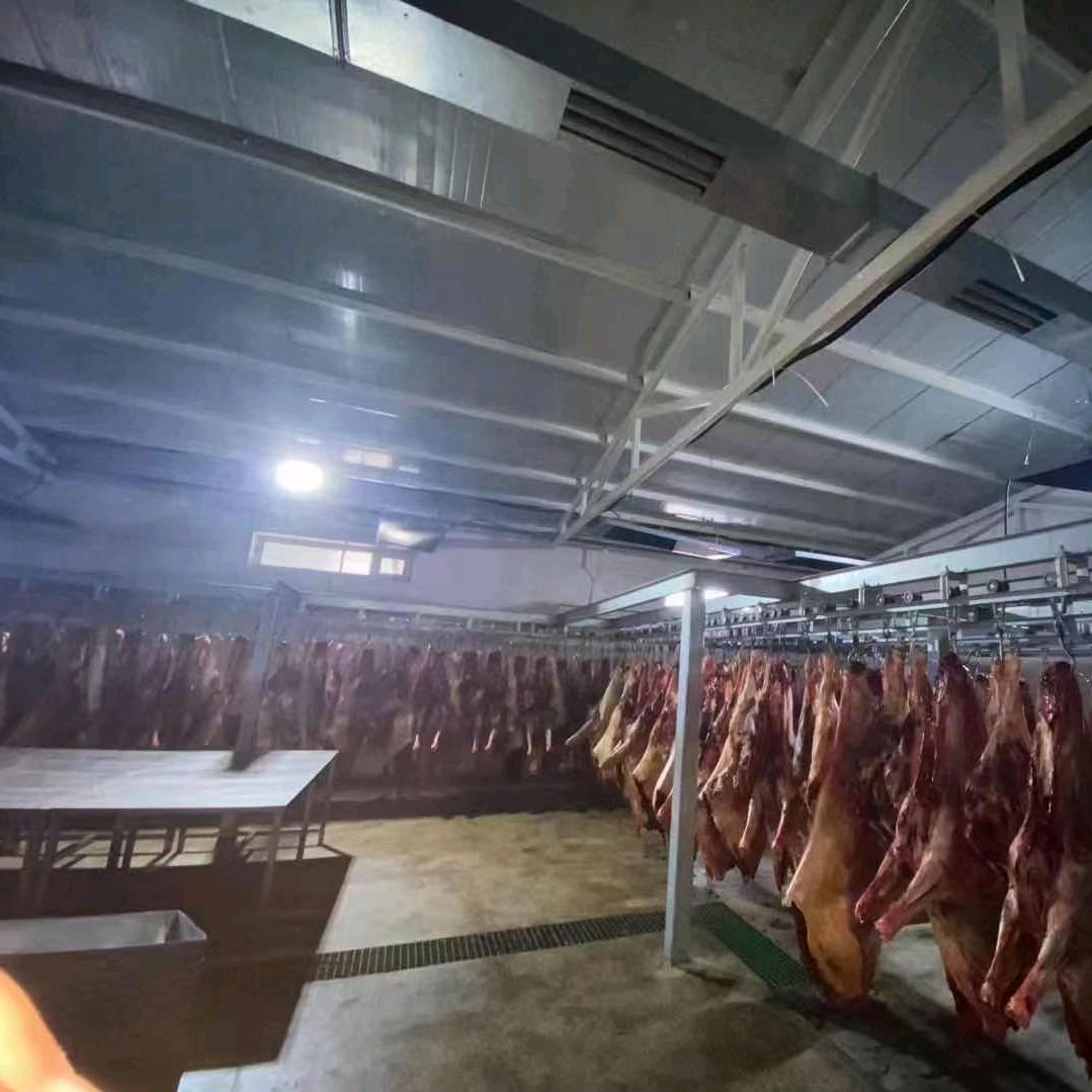 德州胖姐驴肉马肉批发