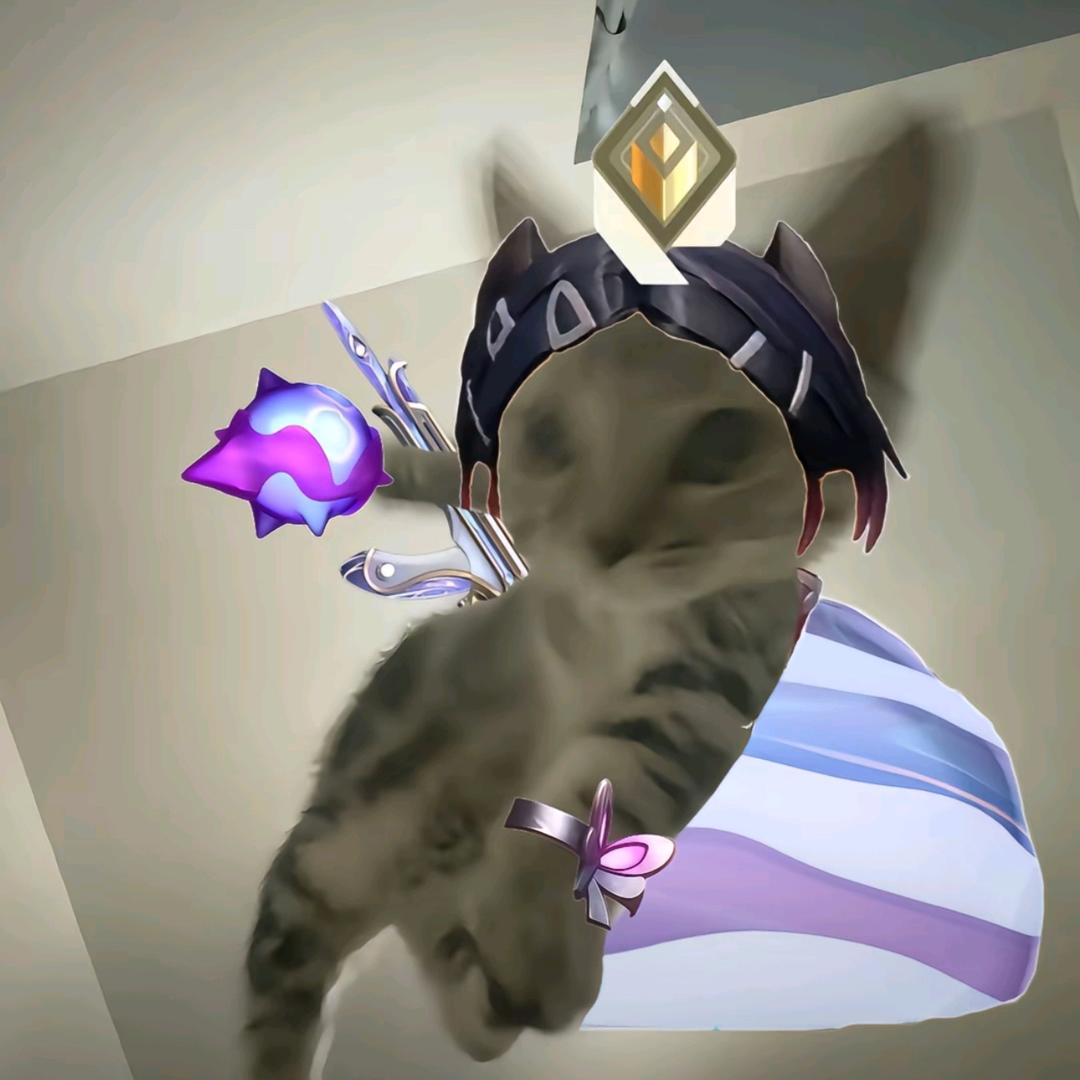 森罗