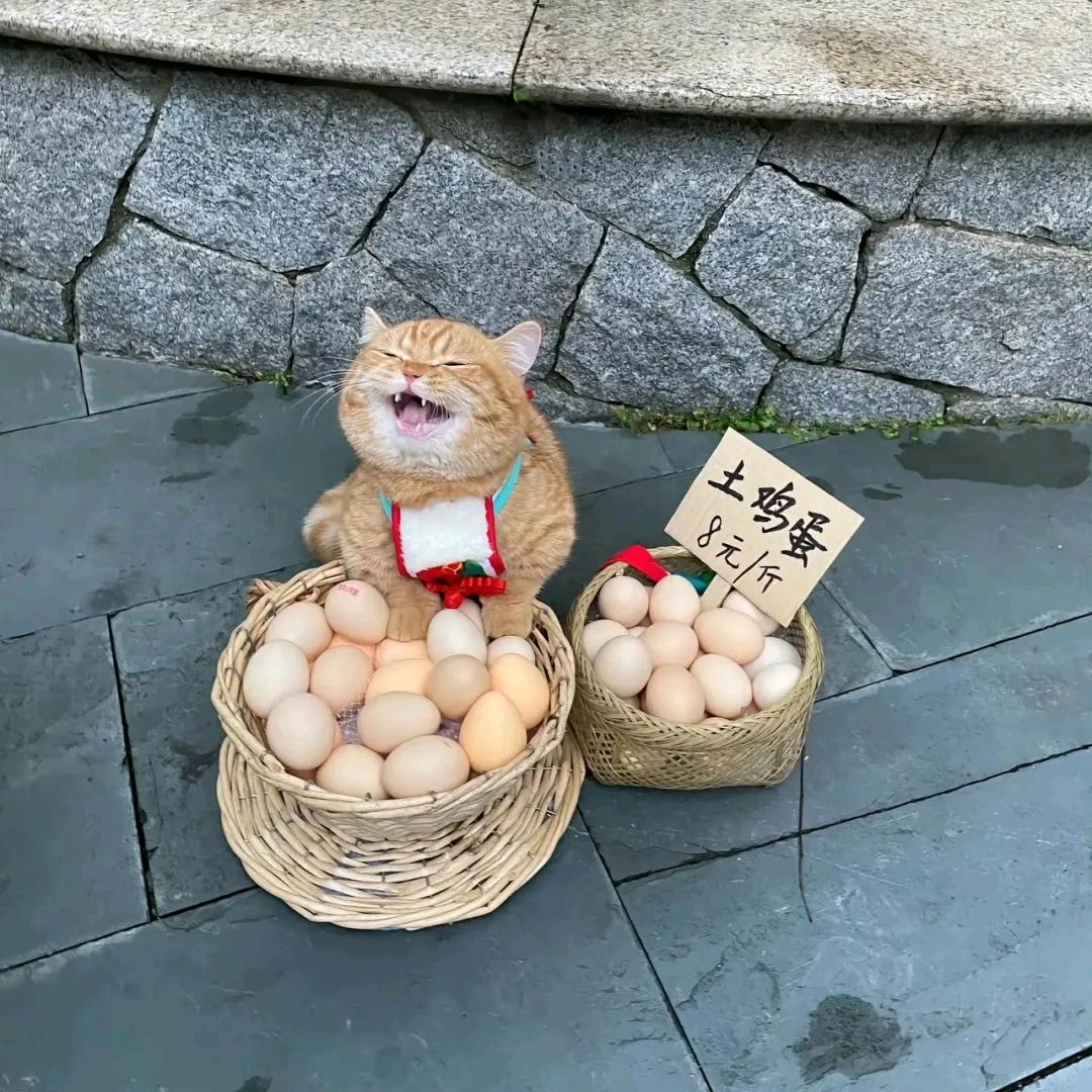 签十