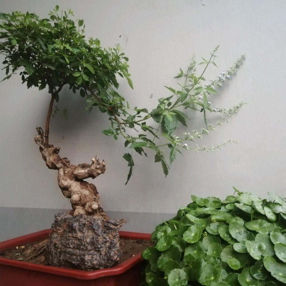 史光永