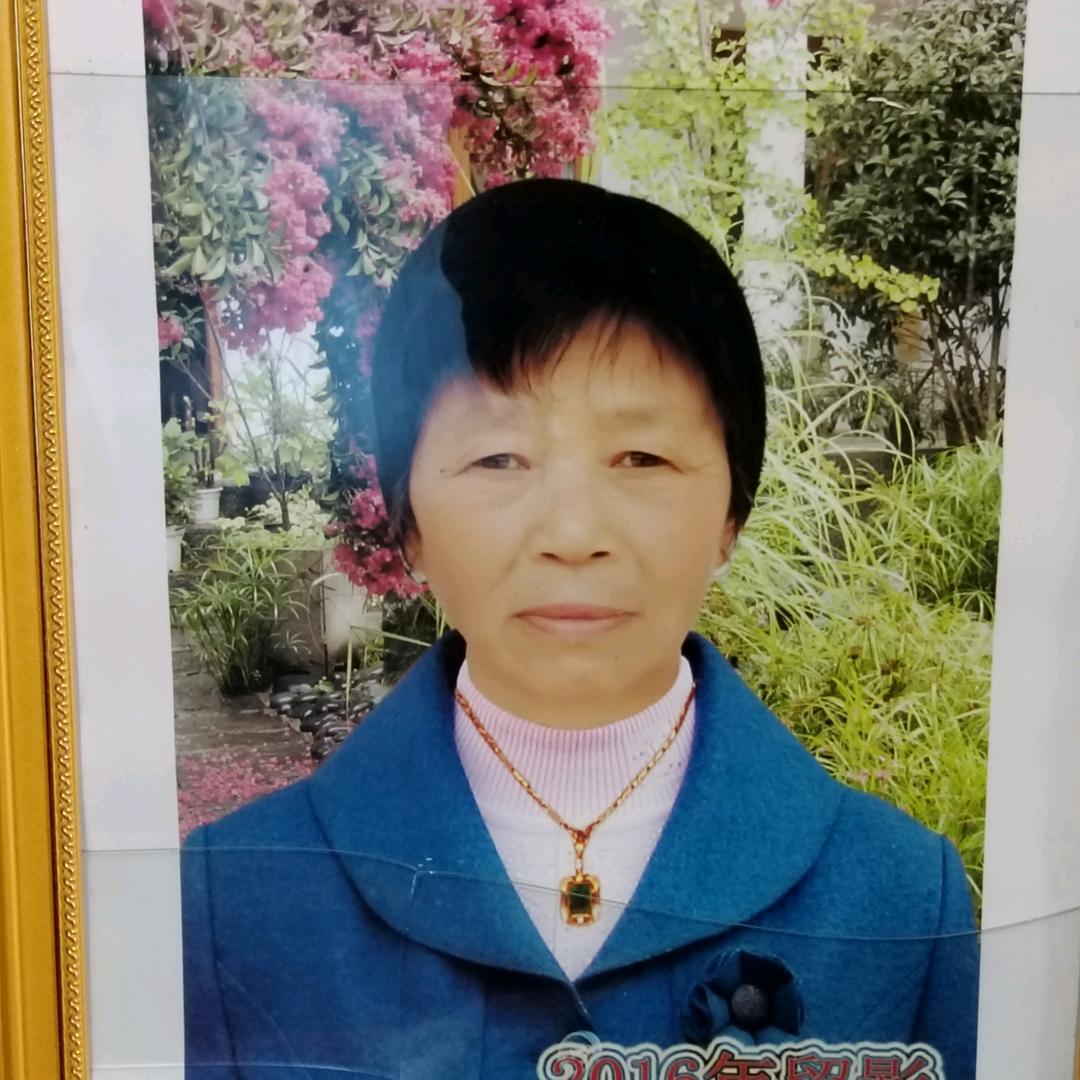 菊