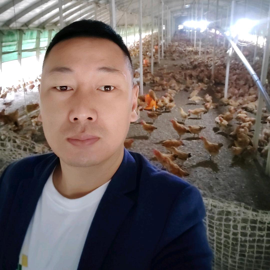 胡大坎养鸡人