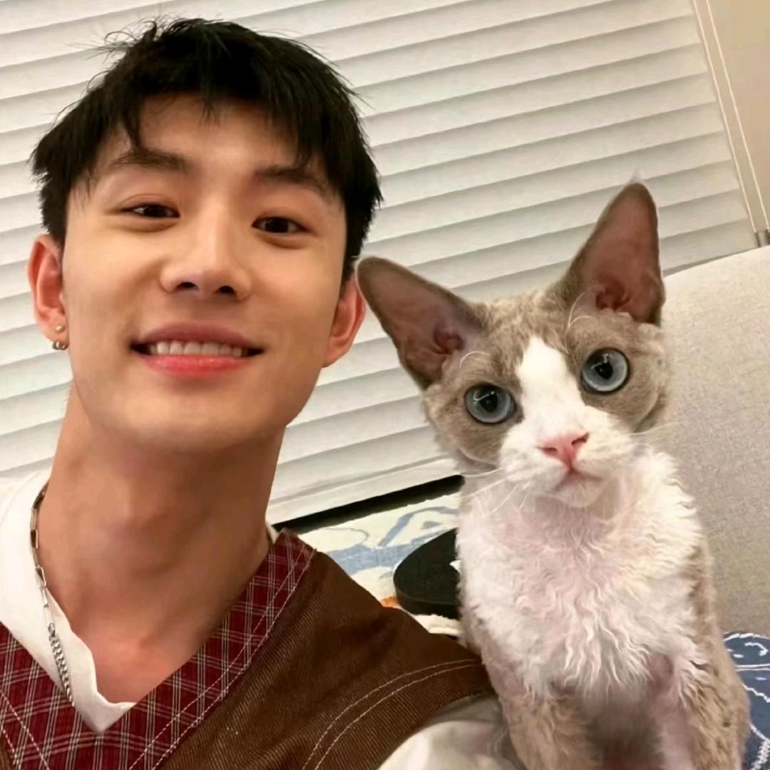 桃花依旧笑春风