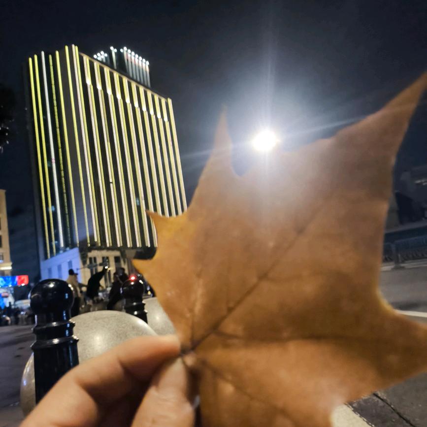 苏眉店总（小曾）