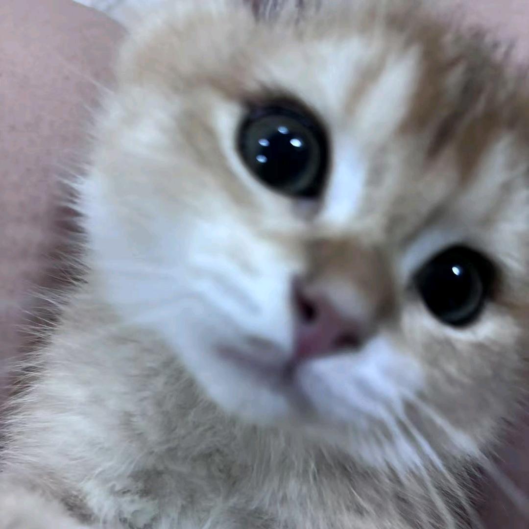 瑞瑞