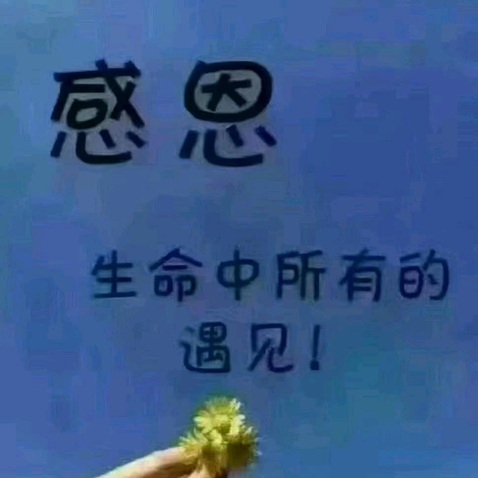 品茶人生