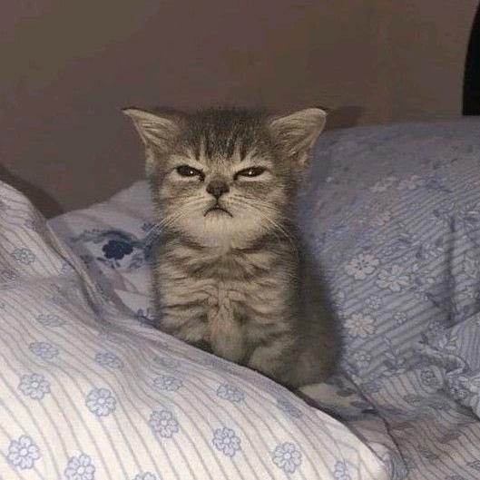 1殿下请跟我回家