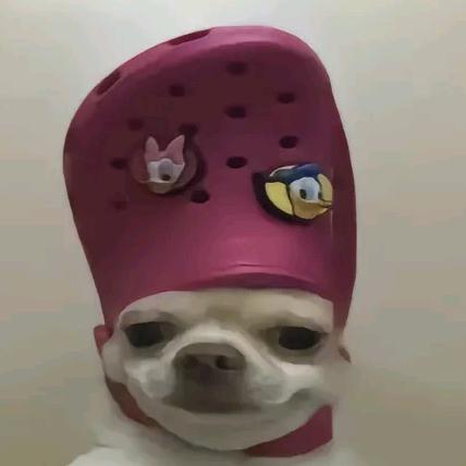 忧郁小红帽