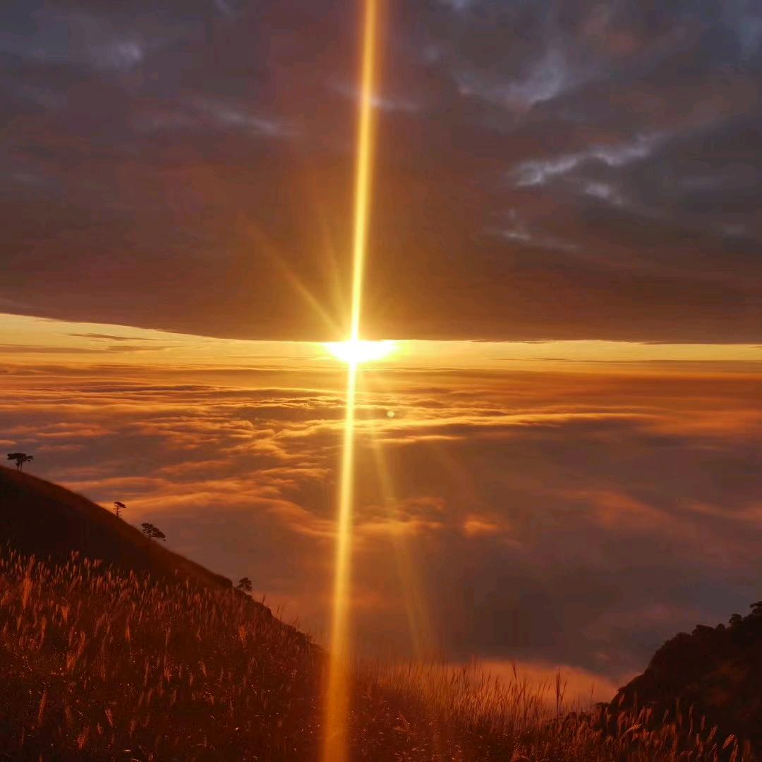 诺贝尔设计小李