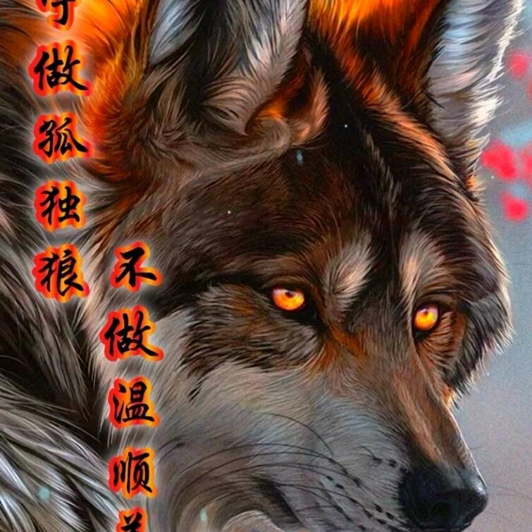 孤狼