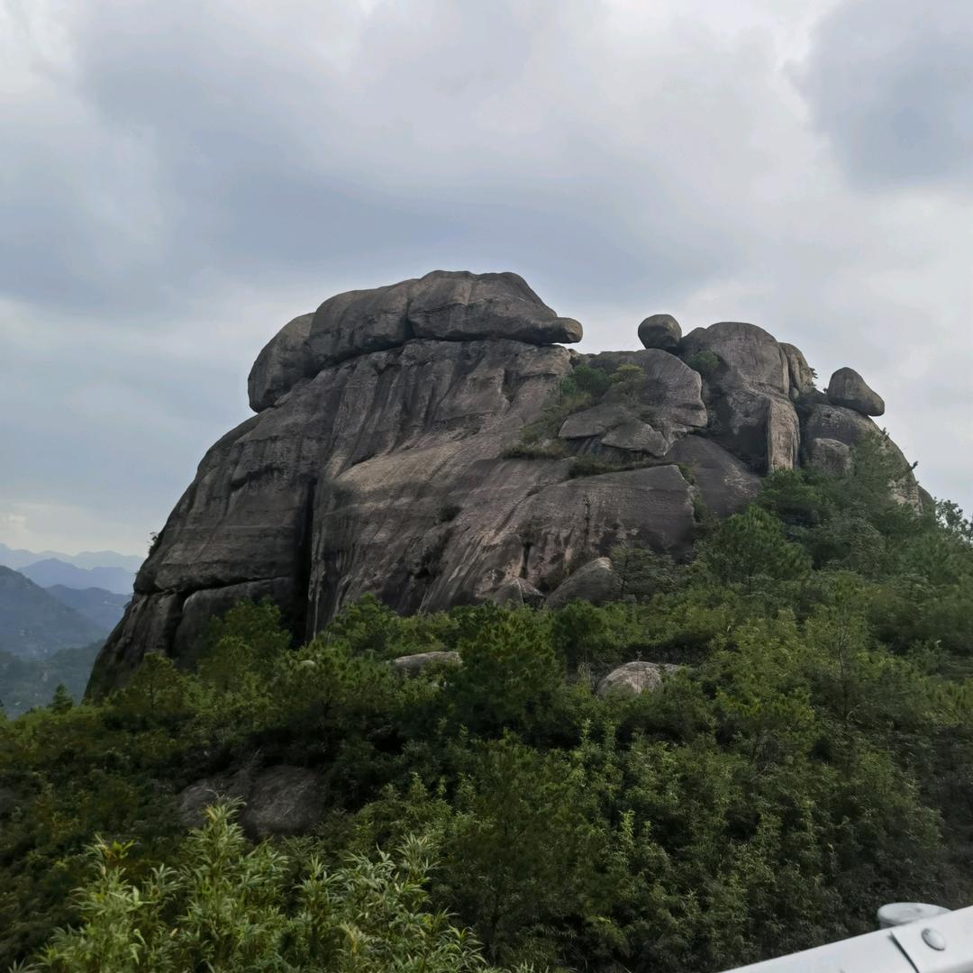 ๑҉ ღ᭄ꦿ人生如🍵࿐(橱窗好物选)