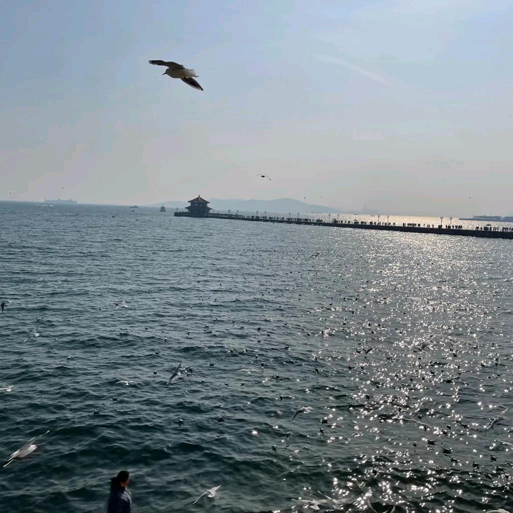 海边小河儿