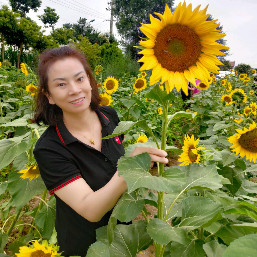 🦋ꦿ໊余生᭄🕊随心᭄ꦿᩚ