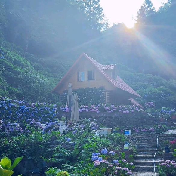 花边有个小木屋