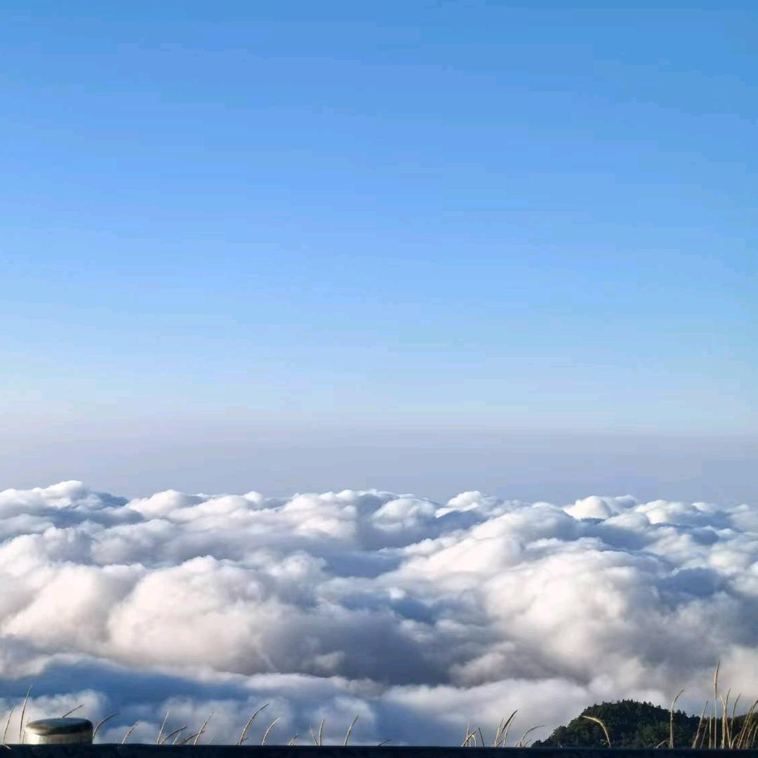 燕子囧旅
