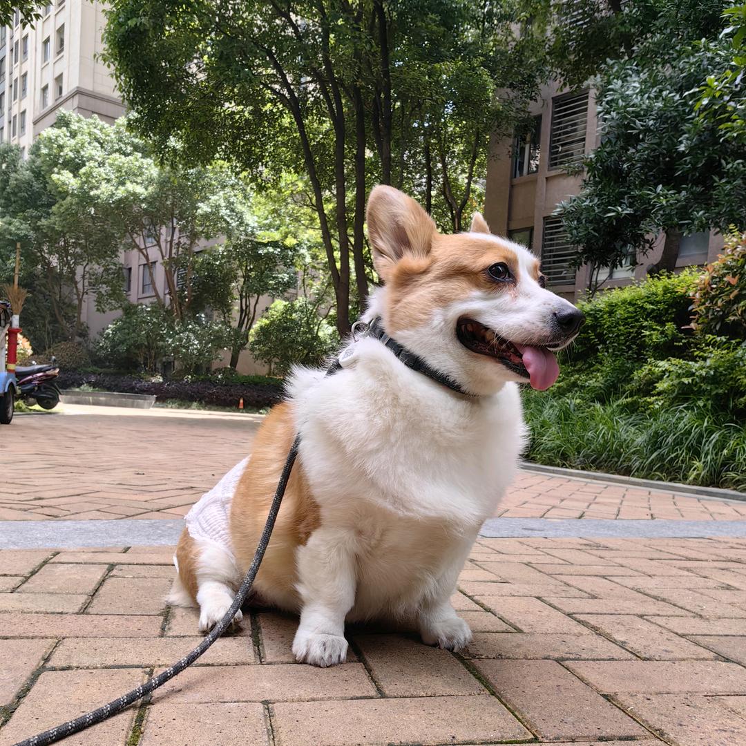 合肥房产派大星