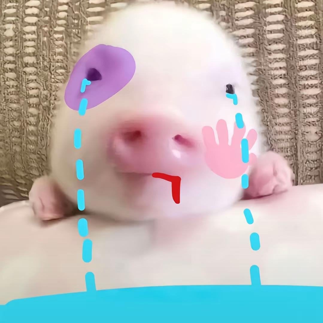 全世界都給我道歉