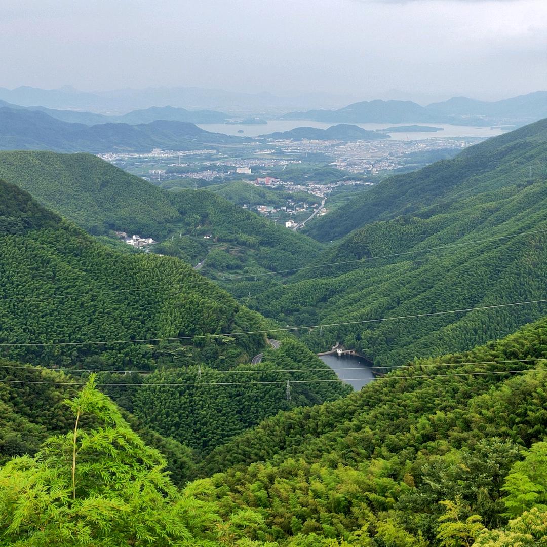 田野