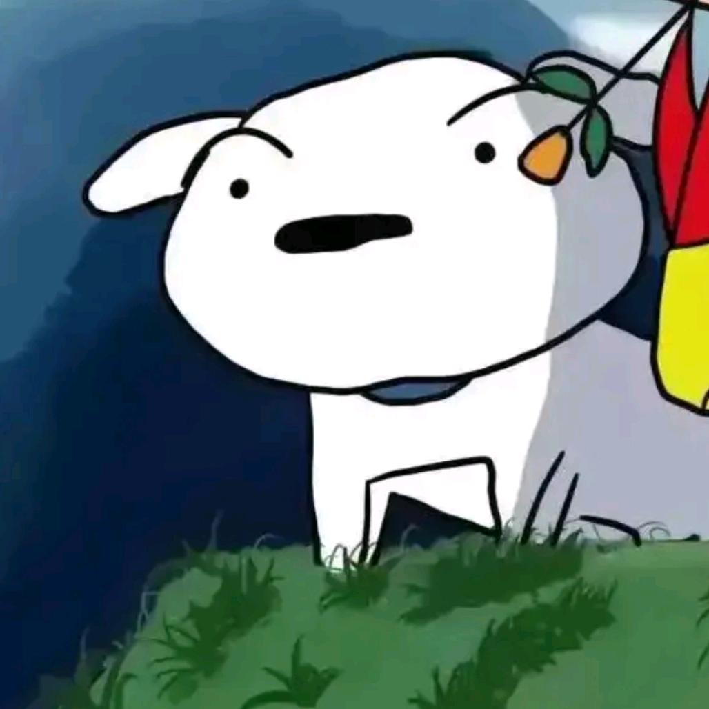 杨槐树林