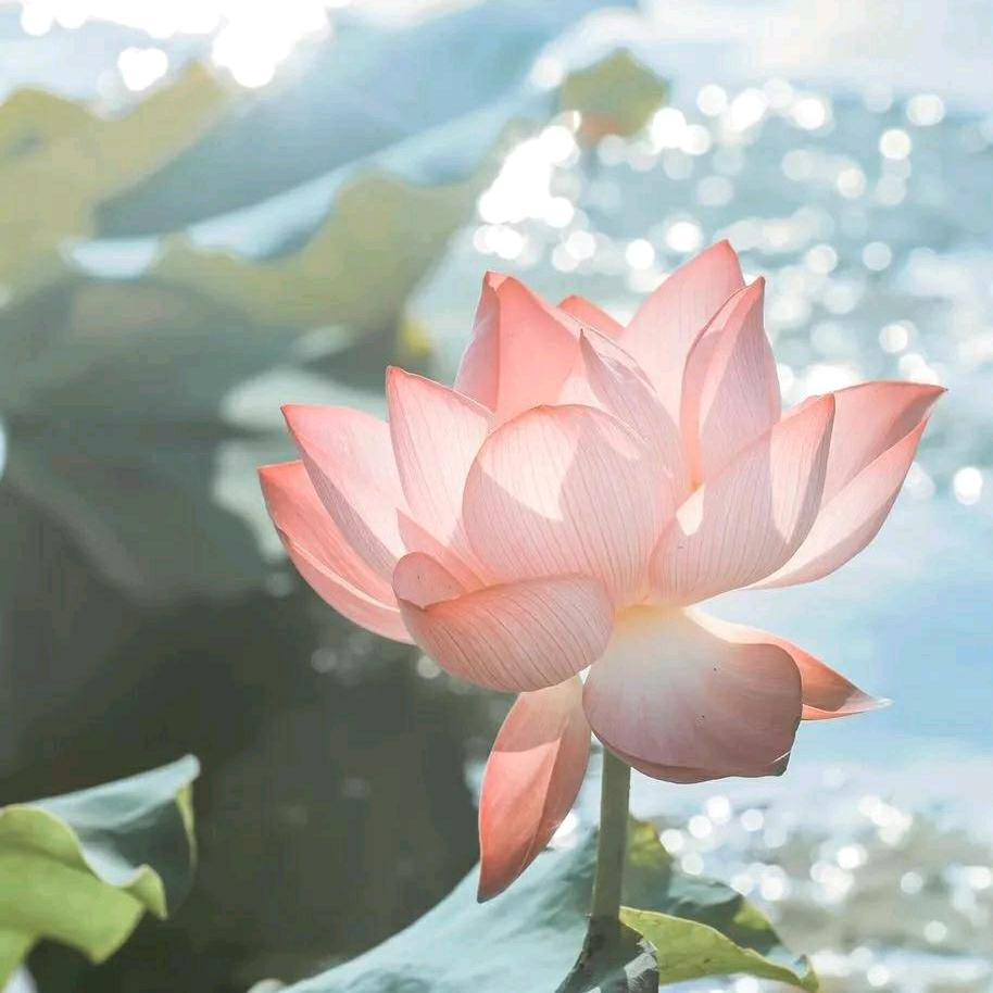 南北行时尚服饰