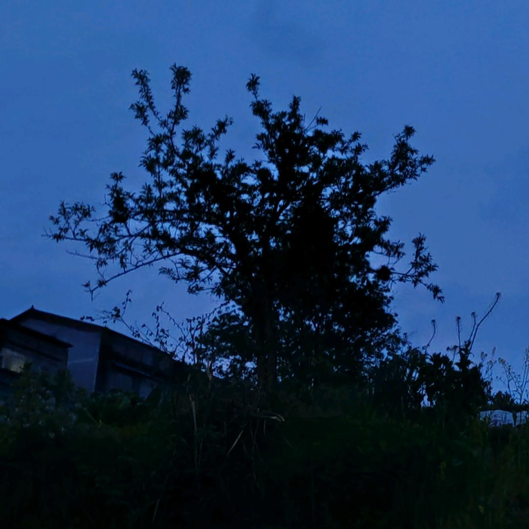风雨过后见彩虹