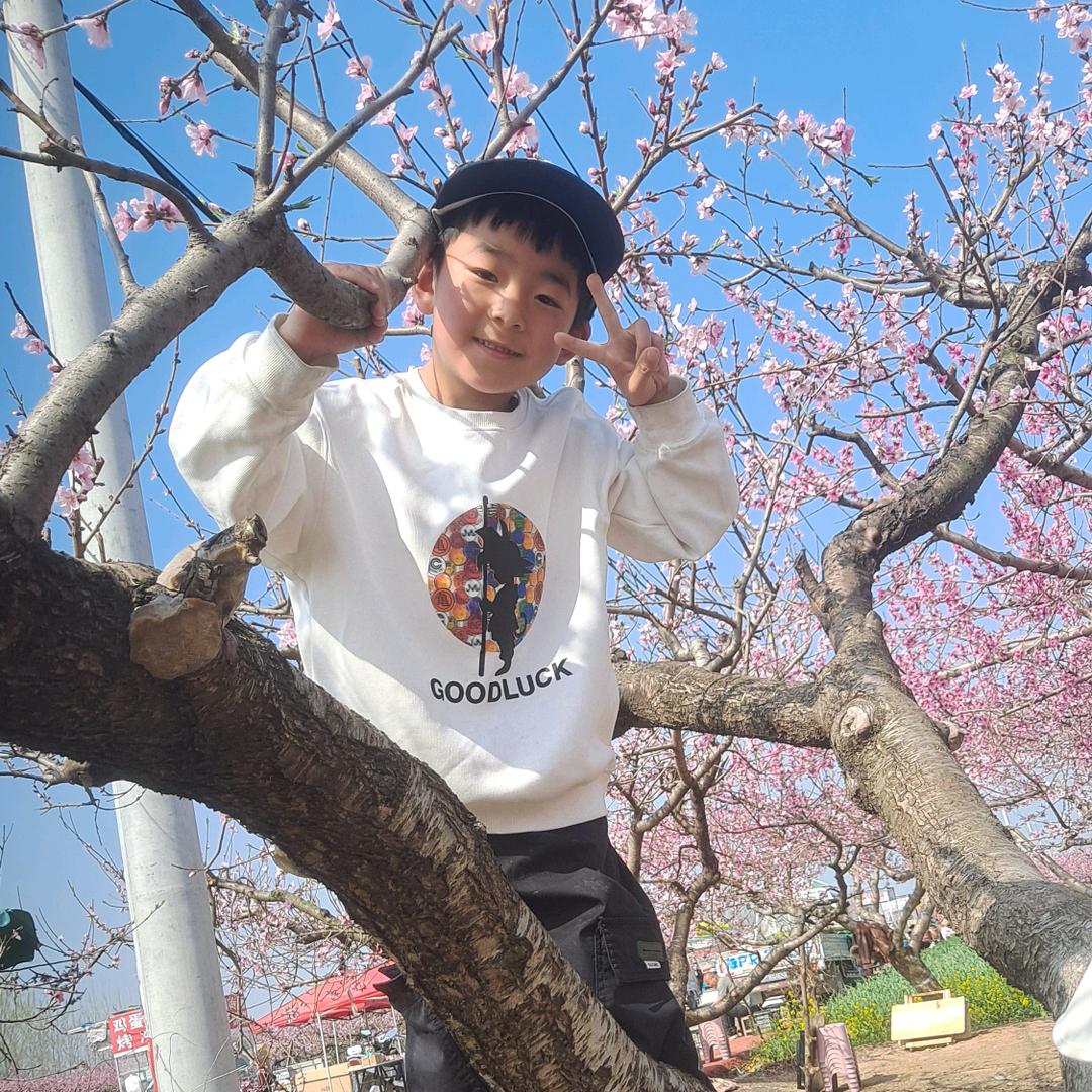 旗展天下