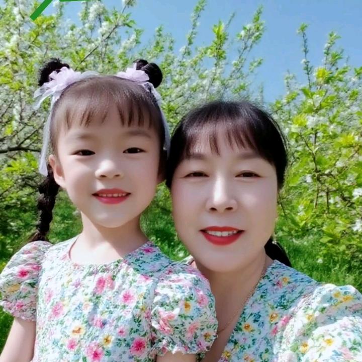 樱花美景🌹🌹🌹