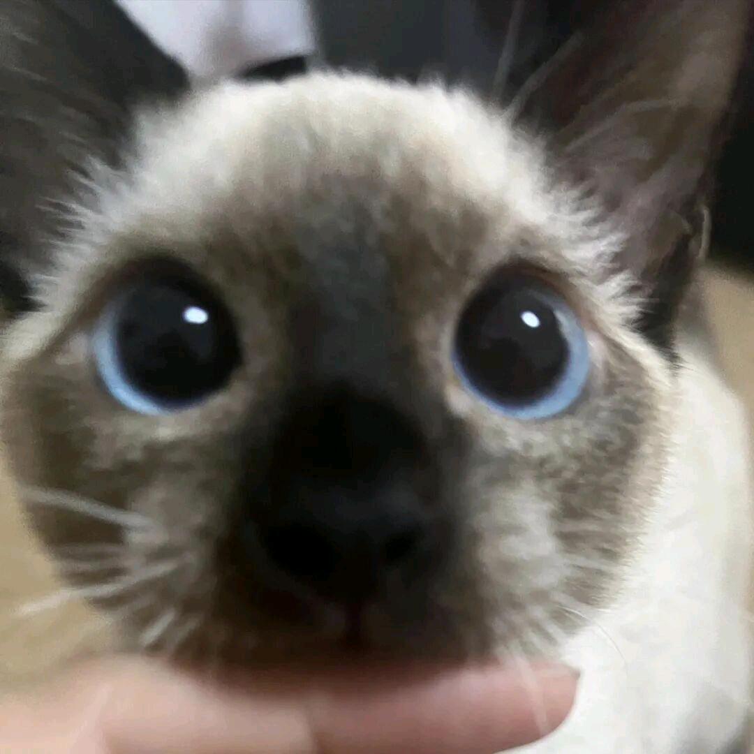 na೨