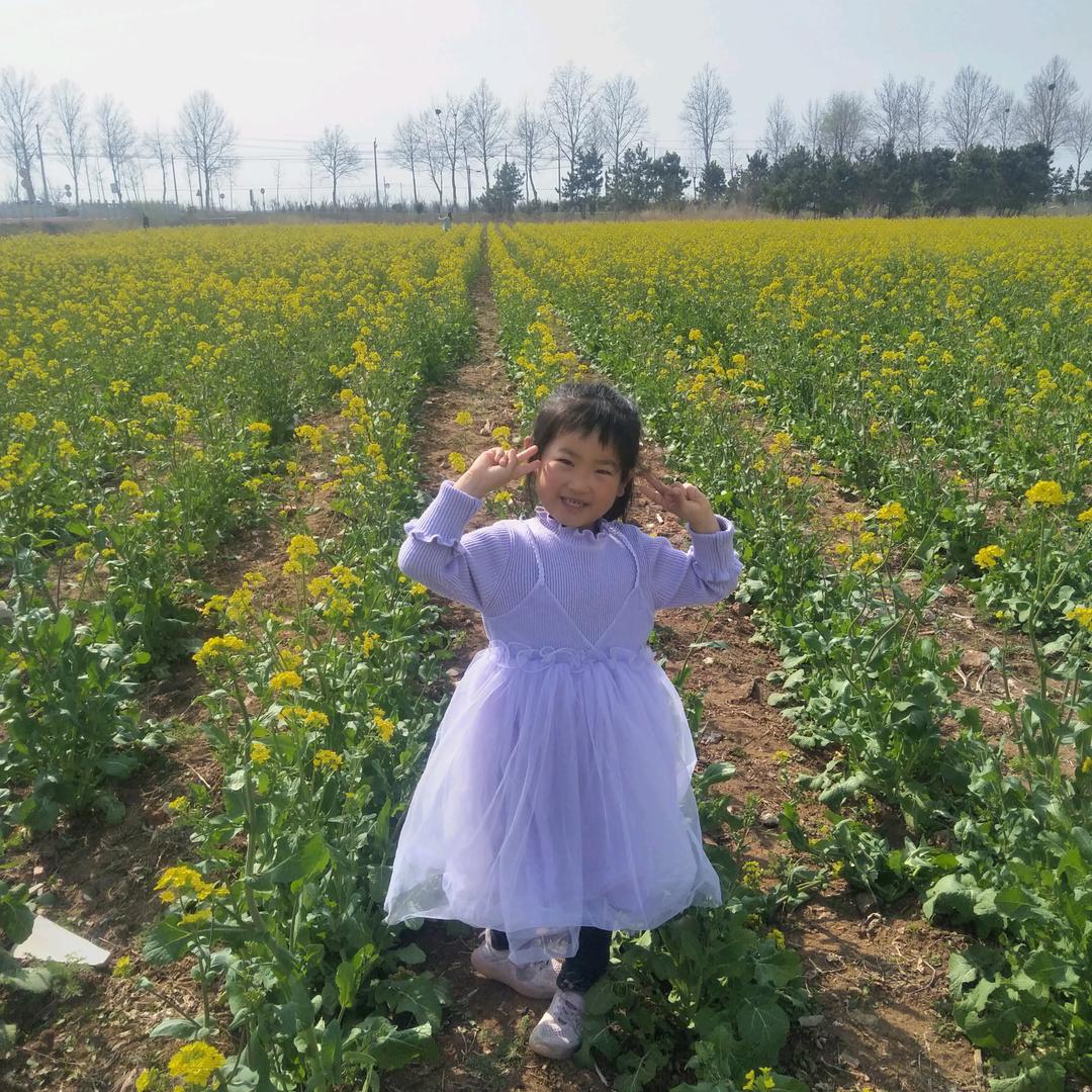 金岗口流动饭店