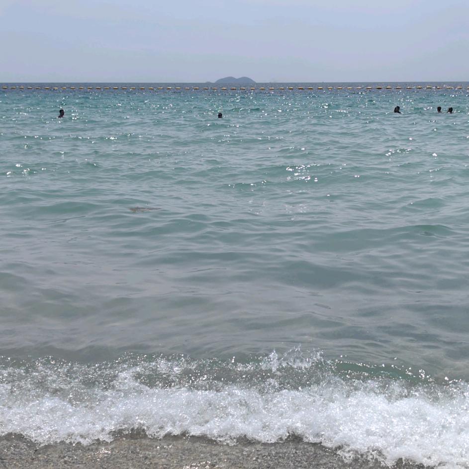 花海，xxx