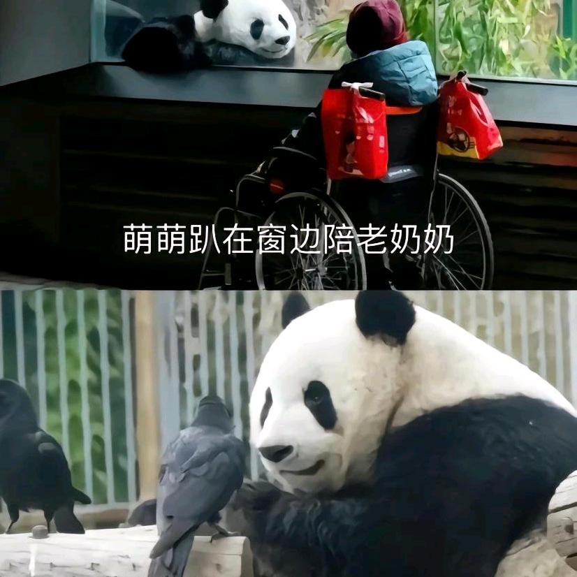 拒绝任何形式的PUA头像