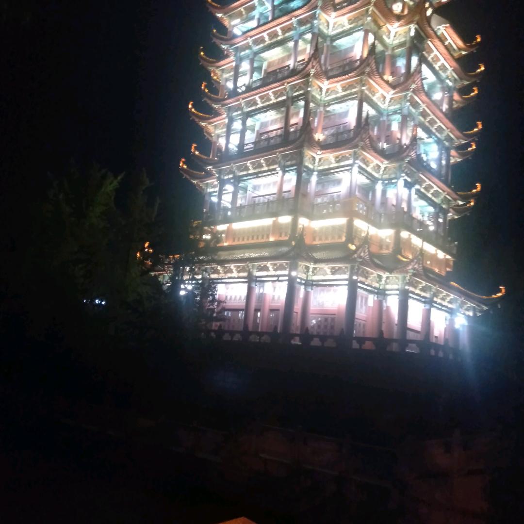 想家的人