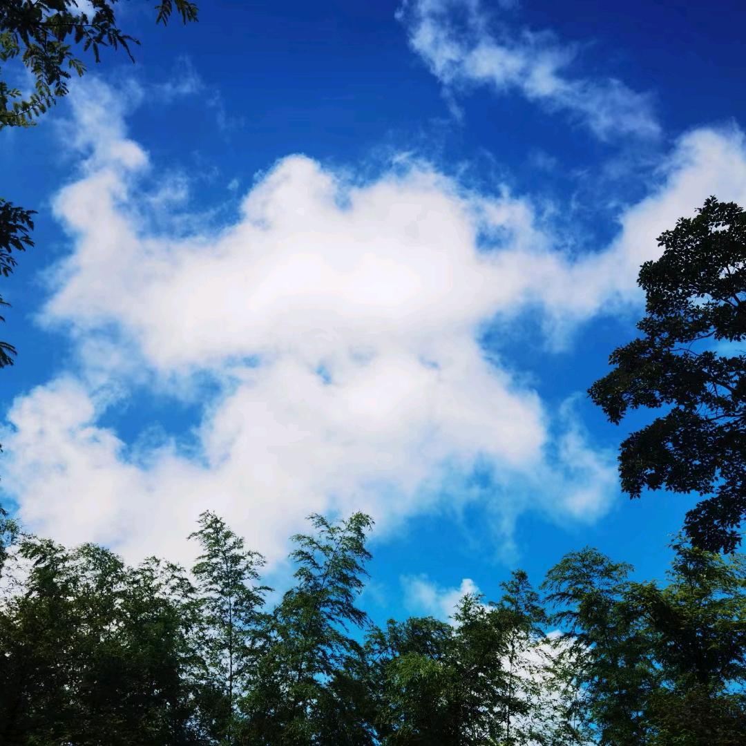 朝霞