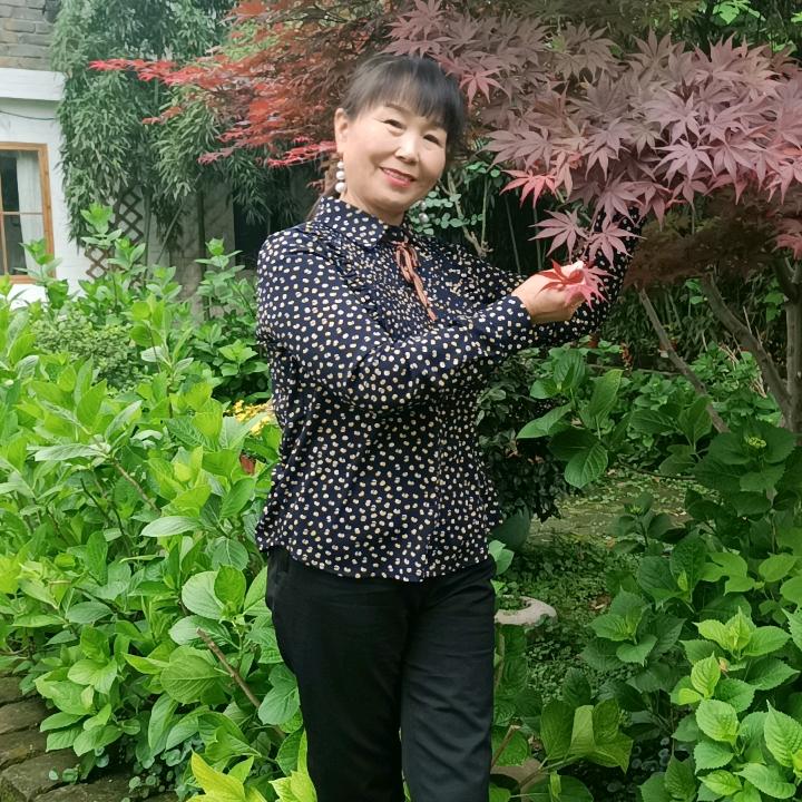 阳光灿烂