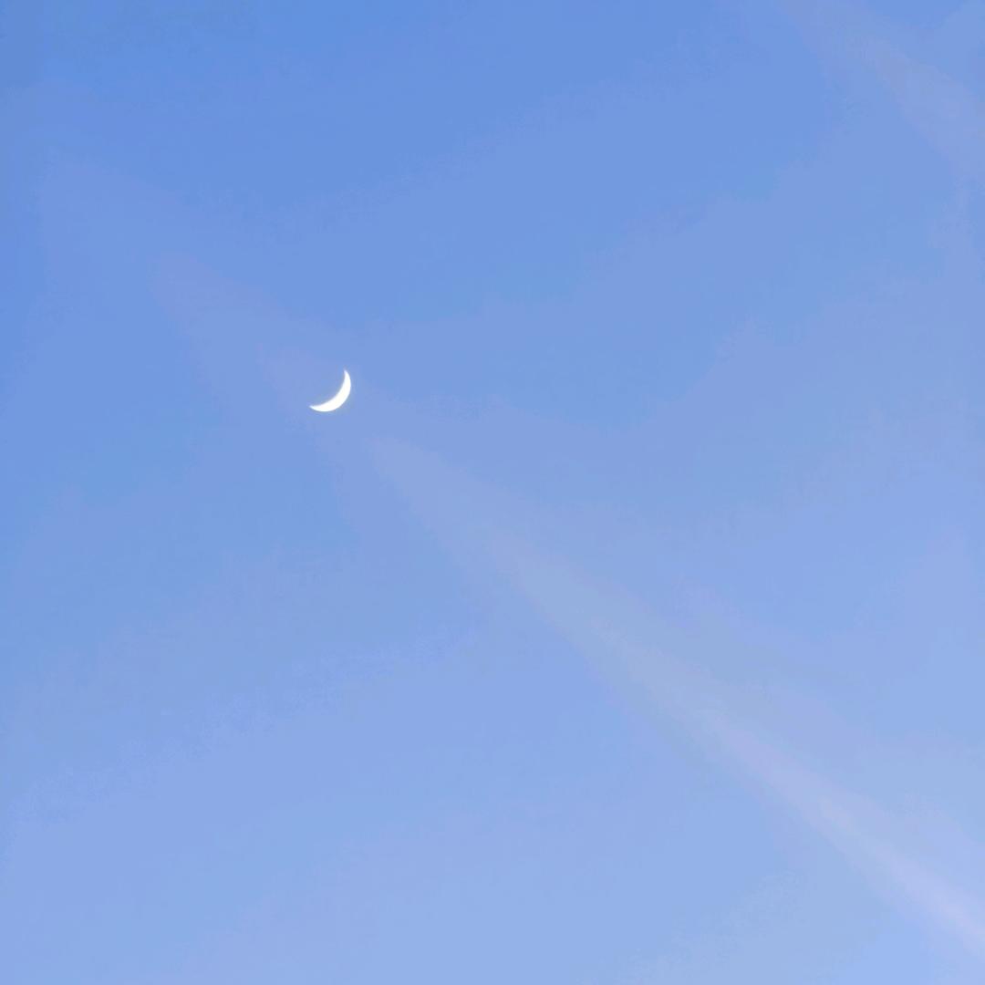 风