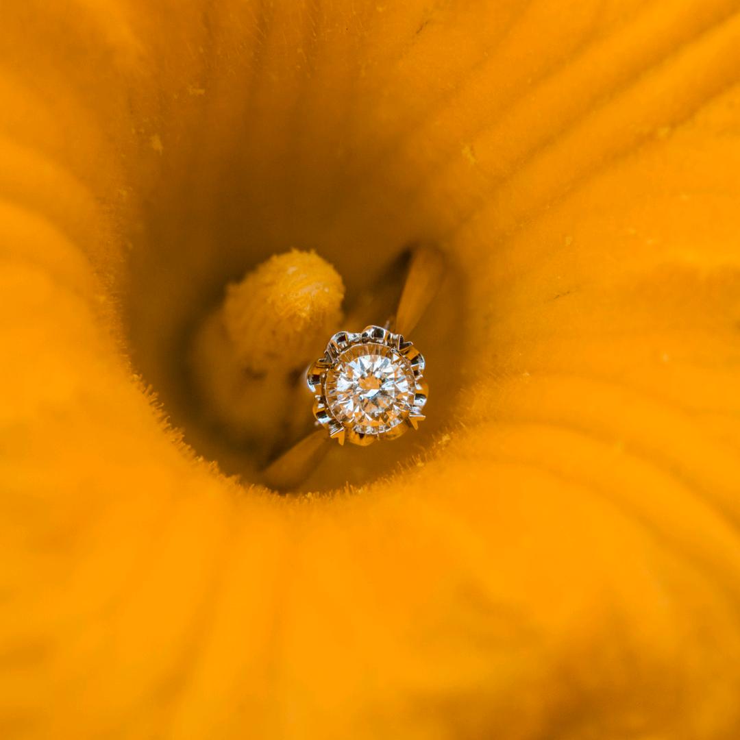 🧚‍♂️🧚‍♂️🧚‍♂️