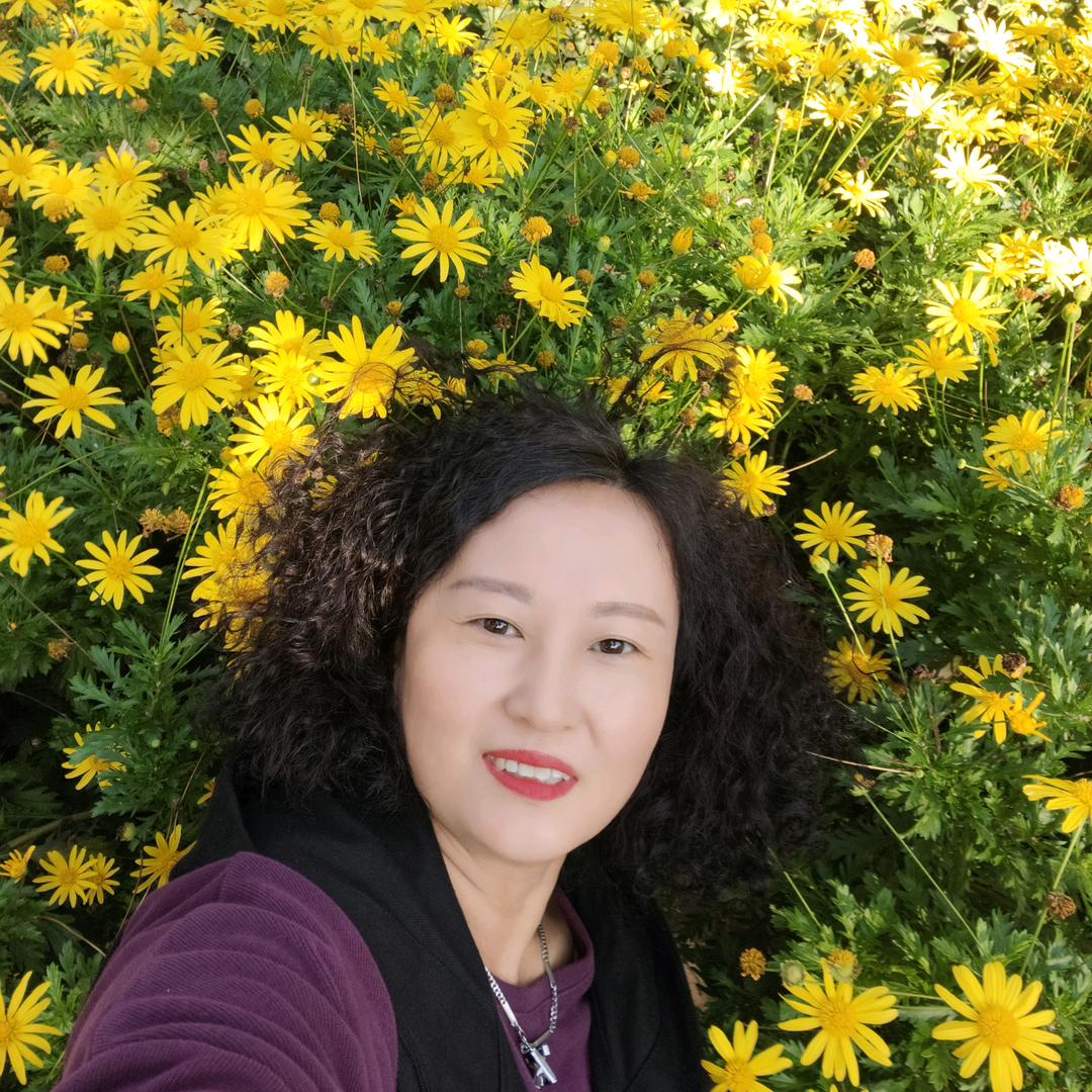 韩城高蒂千代喜女鞋培女士