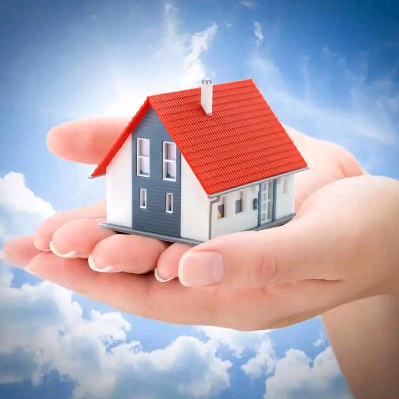 遵义新蒲房地产传媒