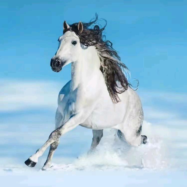 縂洧①畼楿喁坧沍楿禧歡哋